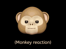 Monkey Reaction Monkey GIF - Monkey Reaction Monkey Meme GIFs