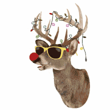 happy christmas merry christmas deer