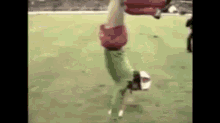 Liverpool Fans Handstand GIF - Liverpool Fans Handstand Fc GIFs