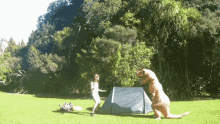 Lucylovescats Dinosaur GIF - Lucylovescats Dinosaur Camping GIFs