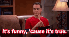 Its Funny Because Its True Truth GIF - Its Funny Because Its True Truth Sheldon GIFs