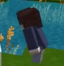 a close up of a minecraft character standing on a grassy field next to a body of water .