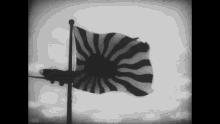 japan japanese flag wave black and white airplane