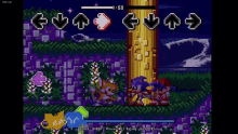 a screenshot of a sonic the hedgehog game with a score of 62250