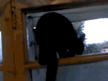 Barking Cat Gets Caught GIF - Barkingcat Meow Caughtintheact GIFs