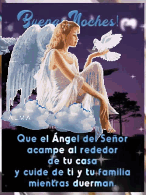 Buenas Noches Angel GIF - Buenas Noches Angel Dove - Discover & Share GIFs