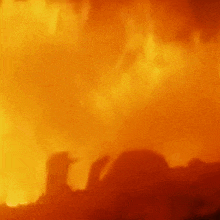 a group of people are standing in front of a fire .