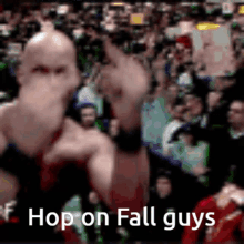 Hop On Fall Guys Get On Fall Guys GIF - Hop On Fall Guys Get On Fall Guys Dalibor GIFs