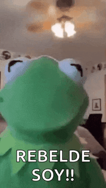 kermit the frog is making a face and saying rebelde soy .