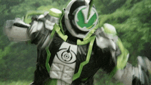 a person in a green and white costume with the letter v on the chest