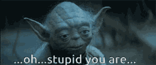 Stupid Yoda GIF - Stupid Yoda Youre Stupid GIFs