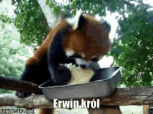 Ewron Twitch GIF - Ewron Twitch GIFs