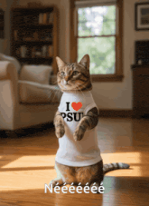 a cat wearing a t-shirt that says i love psu