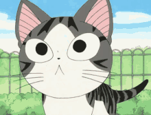 แมว จี้จัง โกรธ GIF - Chi Cat Angry Cat GIFs