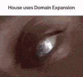 a close up of a person 's eye with the words house uses domain expansion below it .