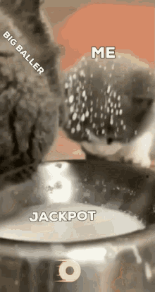 Rollbit Jackpot GIF - Rollbit Jackpot Memecontest GIFs