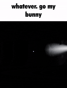 a picture of a monster with the words whatever go my bunny