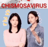 fromis chismosavirus seoyeon chaeyoung kpop