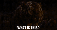 The Jungle Book Shere Khan GIF - The Jungle Book Shere Khan What Is This GIFs