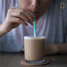 Drinking Coffee National Geographic GIF - Drinking Coffee National Geographic Coffee GIFs