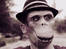 weird monkey masks monkey boy vintage