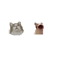Whiskas Skam Sticker - Whiskas Skam Stickers
