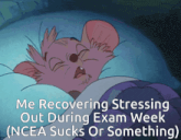 The Secret Of Nimh Don Bluth GIF