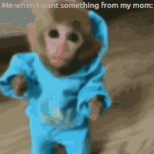 Monkey Meme Moms GIF