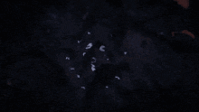 a group of people are standing in a circle in the dark