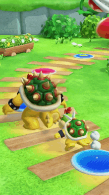 a couple of turtles are walking down a path