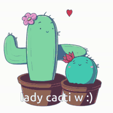 Cacti Cactus GIF