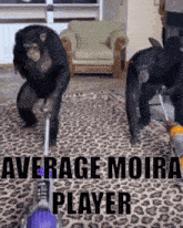 Overwatch Moira GIF - Overwatch Moira Average GIFs