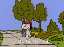 a cartoon of snoopy and woodstock walking down a sidewalk with the words yashimitch real on the bottom
