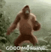 a monkey is dancing in the jungle with the words `` good morning '' written on it .