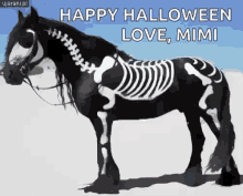 Happy Halloween Skeleton GIF - Happy Halloween Skeleton Horse GIFs