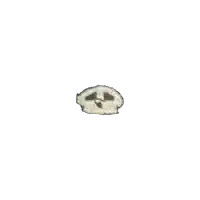 a small skull with a smiley face on it