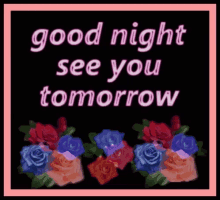 Goodnight See You Tomorrow GIF - Goodnight See You Tomorrow Insomnia GIFs