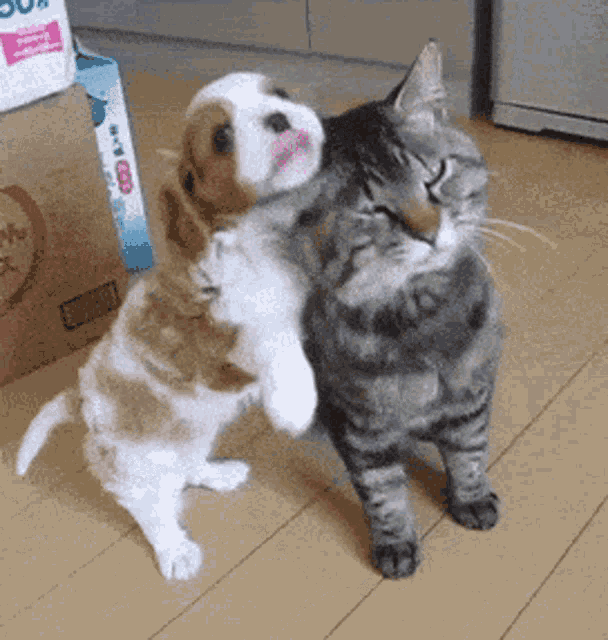 Veeunus Hug GIF - Veeunus Hug Hugs GIFs