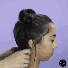 double bun pigtails stylist how to tutorial