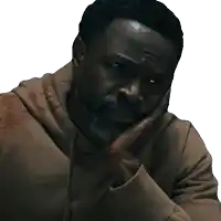 a man with a beard is holding his hand to his chin