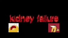 Kidney Failure Kidney Success GIF