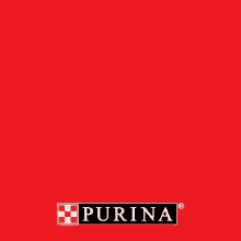 Purina Purina Deutschland GIF - Purina Purina Deutschland Purina Jefoehl GIFs