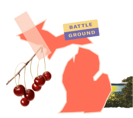 Battleground Crooked Media Sticker - Battleground Crooked Media Adopt A State Stickers