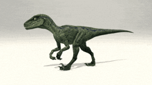 a green dinosaur is walking on a white surface