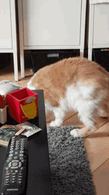a samsung remote control sits next to a cat