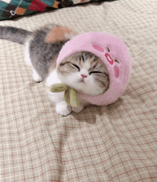 a cat is wearing a pink hat with a peach face on it
