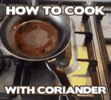 Coriander Cooking Tips GIF - Coriander Cooking Tips GIFs
