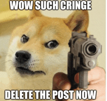 Doge Meme Gun Point GIF - Doge Meme Dog Meme GIFs