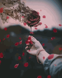 Rose Red Rose GIF - Rose Red Rose Petals GIFs