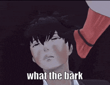 a man with blindfolds on his eyes and the words what the bark on his face